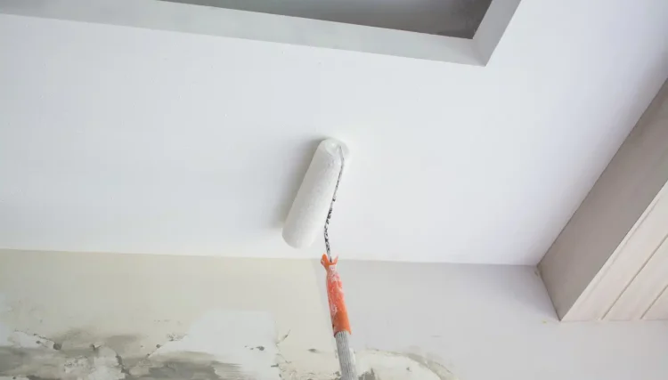 quelle peinture plafond